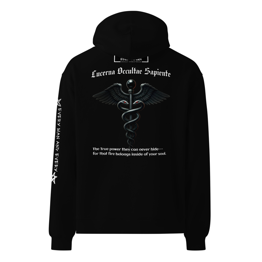 HIDDEN LIGHT | Oversized Heavyweight Hoodie – Lux in Tenebris - FixedStars Apparel