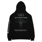 HIDDEN LIGHT | Oversized Heavyweight Hoodie – Lux in Tenebris - FixedStars Apparel