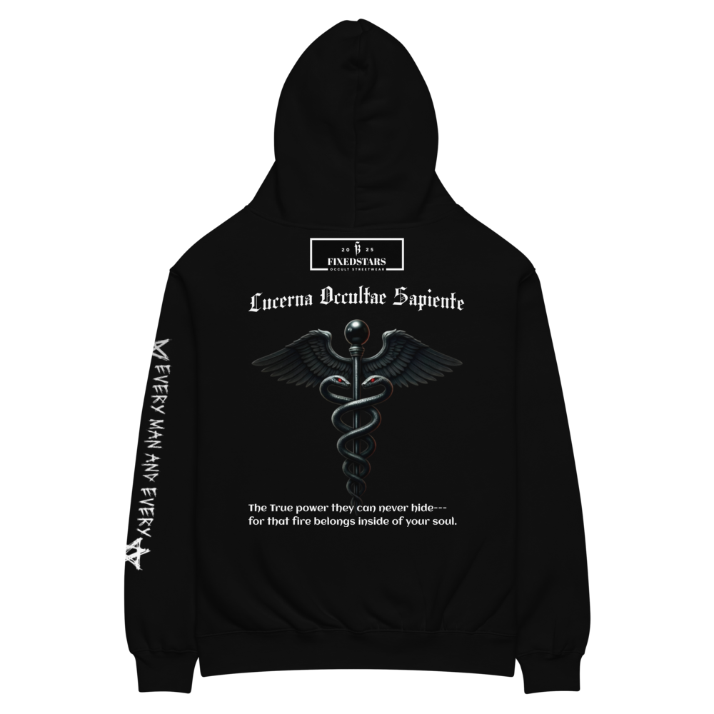 HIDDEN LIGHT | Oversized Heavyweight Hoodie – Lux in Tenebris - FixedStars Apparel